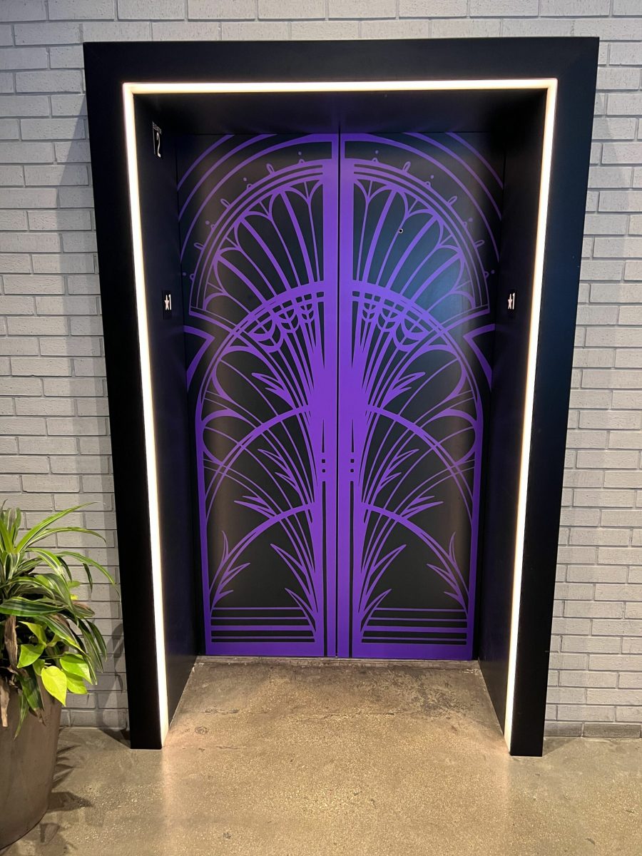 IMG_6637-scaled IMG_6637-scaled